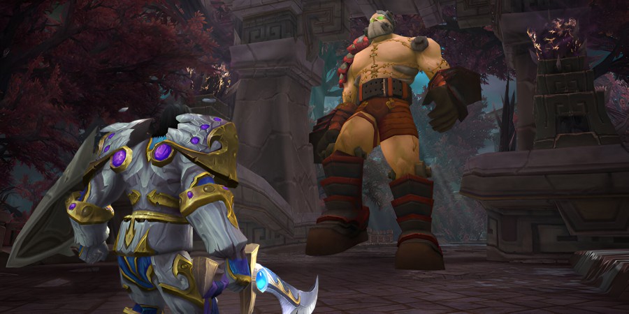 propection-paladin-tank-wow-cataclysm.jpeg