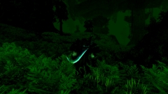 Nightcrawling