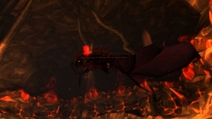 Onyxia in flight
