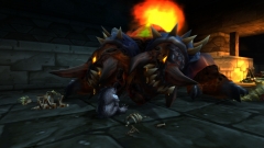 The Beast