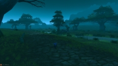 The Wetlands