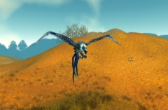 Carrion Bird in Westfall