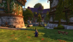 the Park