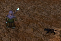 mage needs a cat