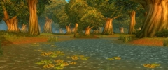 Elwynn Forest