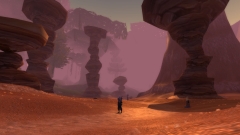 Enjoying the world of warcraft