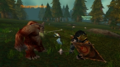 Warrior and Priest trying to up those weapon skills