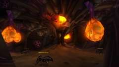 Qiraji Hive