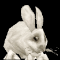 [Image: rabbit.gif]
