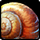 Unread posts